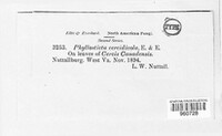 Image Associated With the Occurence